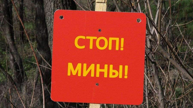 #МБОУСОШ28гБелгорода.